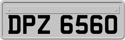 DPZ6560