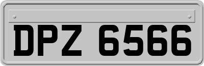 DPZ6566