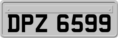 DPZ6599