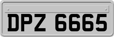 DPZ6665