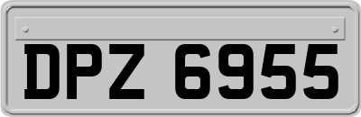 DPZ6955