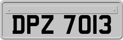 DPZ7013