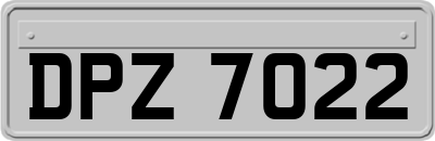 DPZ7022