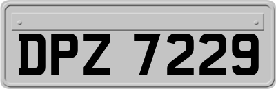 DPZ7229
