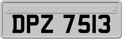 DPZ7513