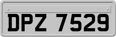 DPZ7529