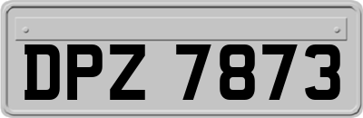 DPZ7873