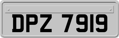 DPZ7919