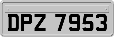 DPZ7953