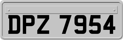 DPZ7954