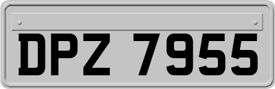 DPZ7955