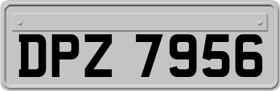 DPZ7956