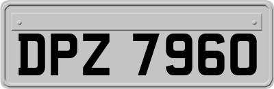 DPZ7960