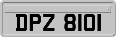 DPZ8101
