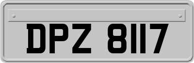 DPZ8117