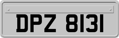 DPZ8131