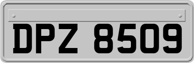 DPZ8509