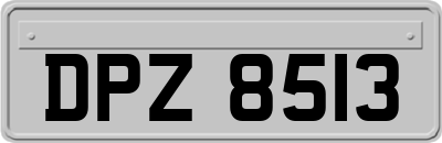 DPZ8513