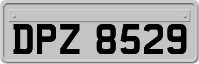 DPZ8529