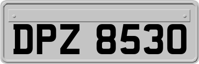 DPZ8530