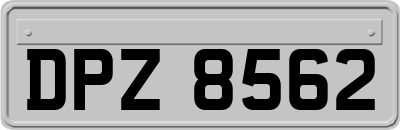 DPZ8562