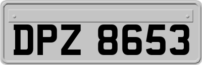 DPZ8653