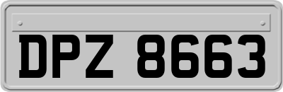 DPZ8663