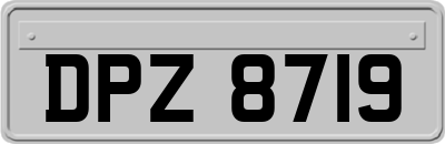 DPZ8719