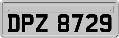 DPZ8729