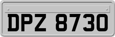 DPZ8730