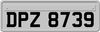 DPZ8739