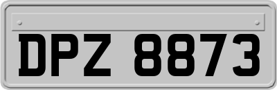 DPZ8873