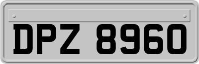 DPZ8960