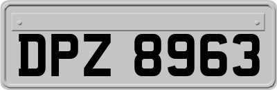 DPZ8963
