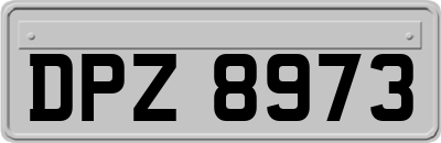 DPZ8973