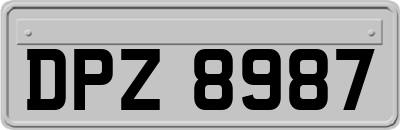 DPZ8987