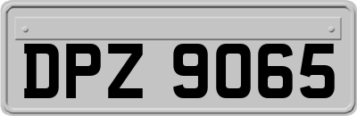 DPZ9065