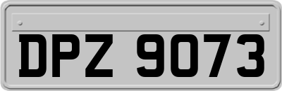 DPZ9073
