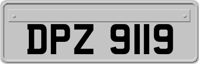 DPZ9119
