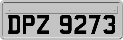 DPZ9273