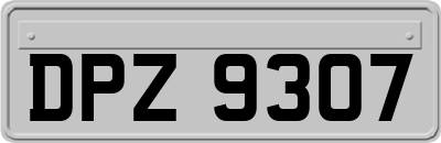 DPZ9307