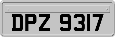 DPZ9317