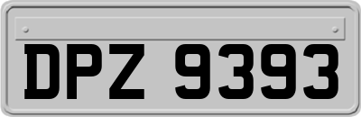 DPZ9393