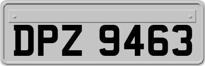 DPZ9463