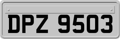 DPZ9503