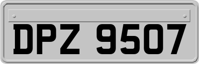 DPZ9507