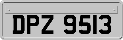 DPZ9513
