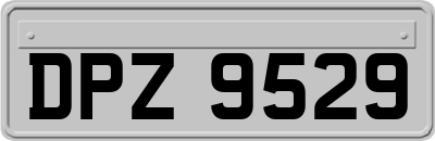 DPZ9529