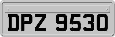 DPZ9530