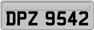 DPZ9542
